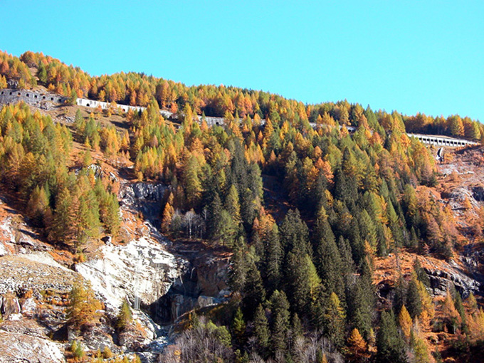 Rosso d''autunno