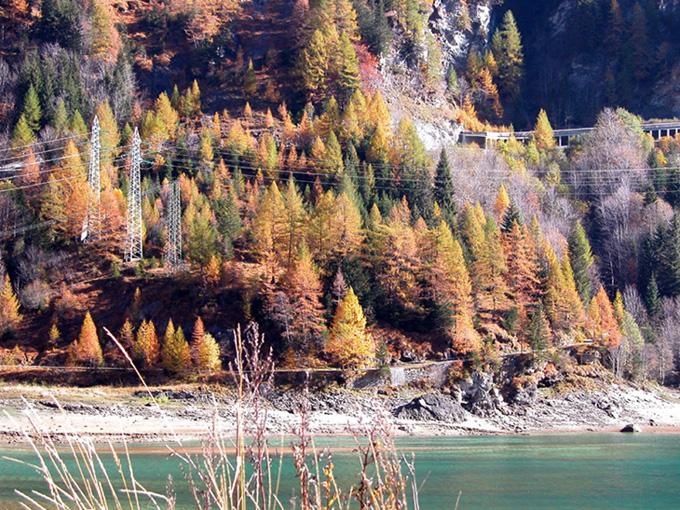 Rosso d''autunno