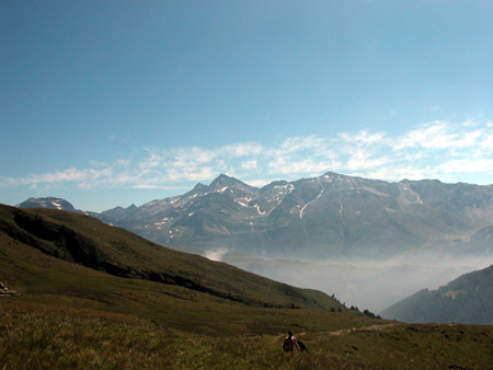 Foschia in Val S. Giacomo (Sondrio)