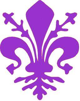 Il colore viola