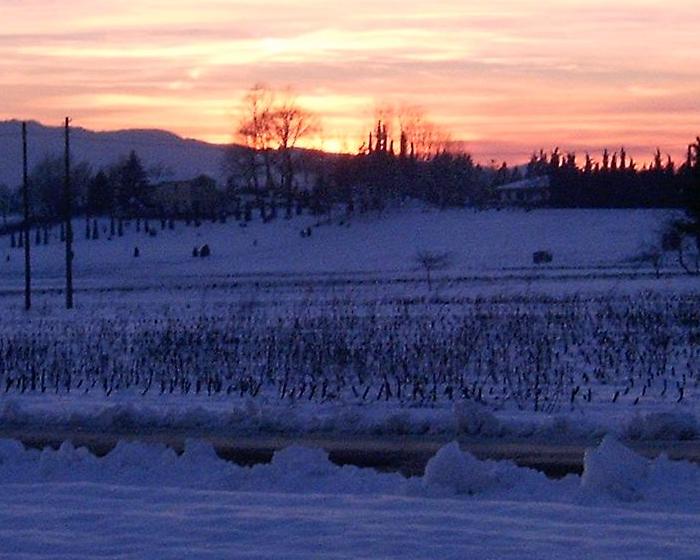 Bianco d''autunno