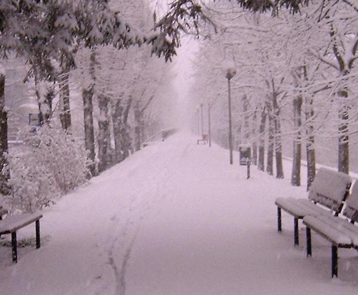 Bianco d''autunno