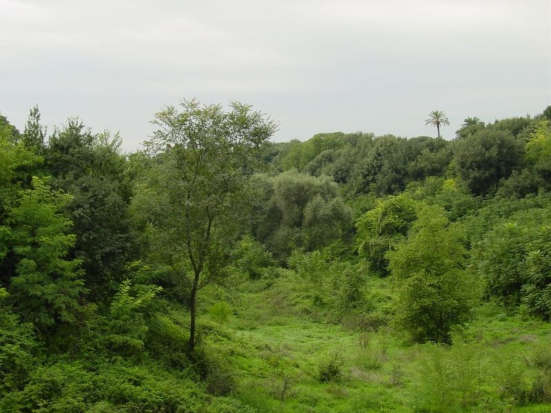 Roma - Villa Pamphili