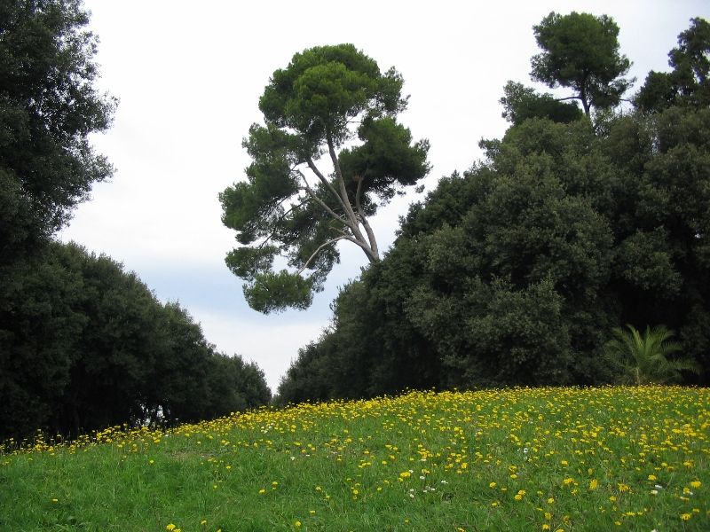 Roma - Villa Pamphili