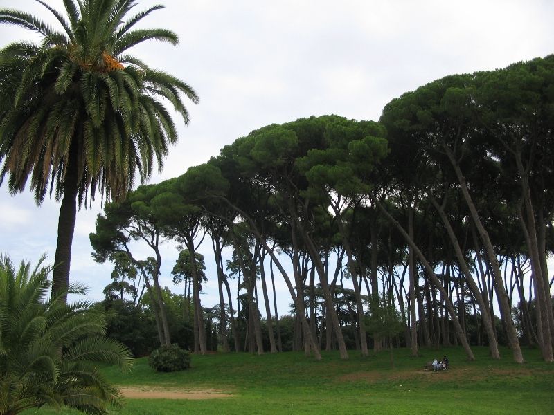 Roma - Villa Pamphili