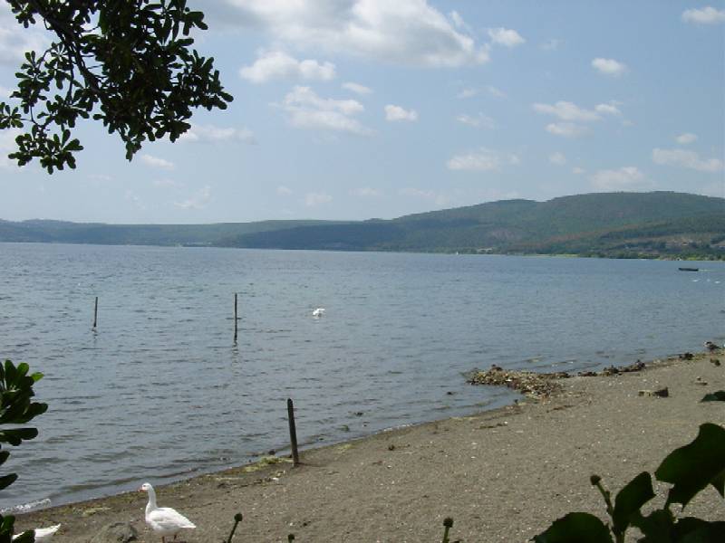 Laghi....del LAZIO