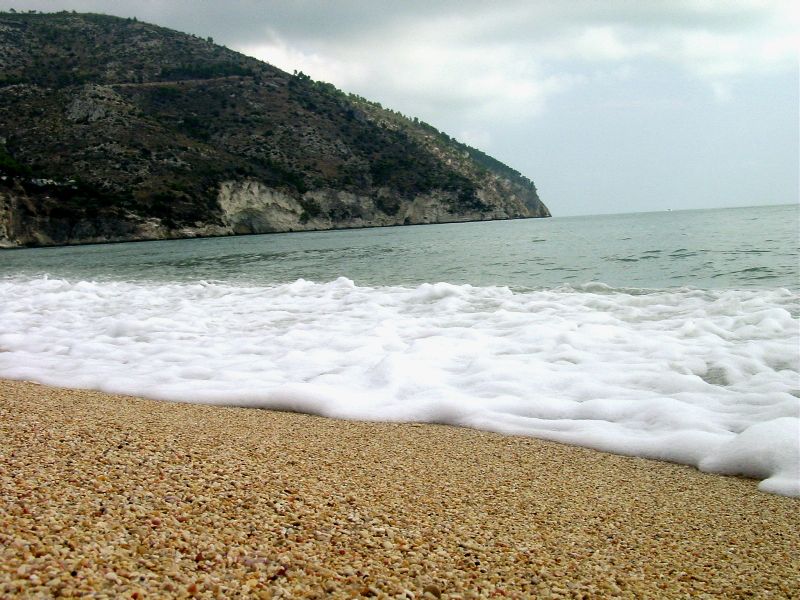 Sabbia, sassi e conchiglie