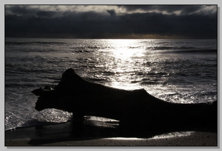 Il mare di Ostia come piace a me