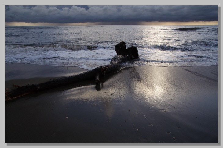 Il mare di Ostia come piace a me