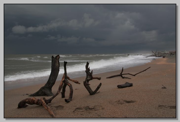 Il mare di Ostia come piace a me