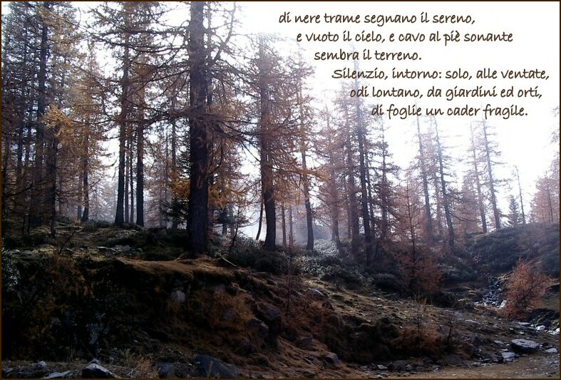 Controluce...