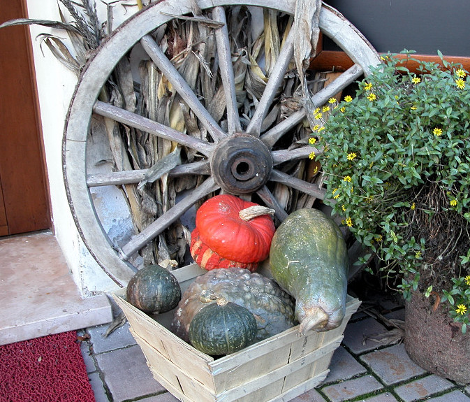 Rosso d''autunno