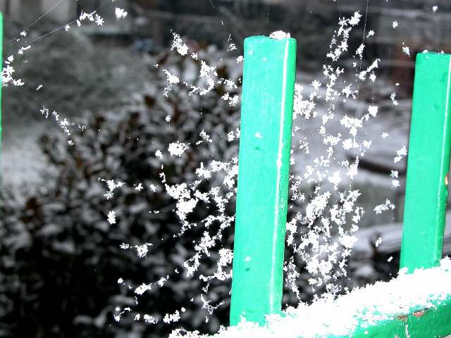 Bianco d''autunno