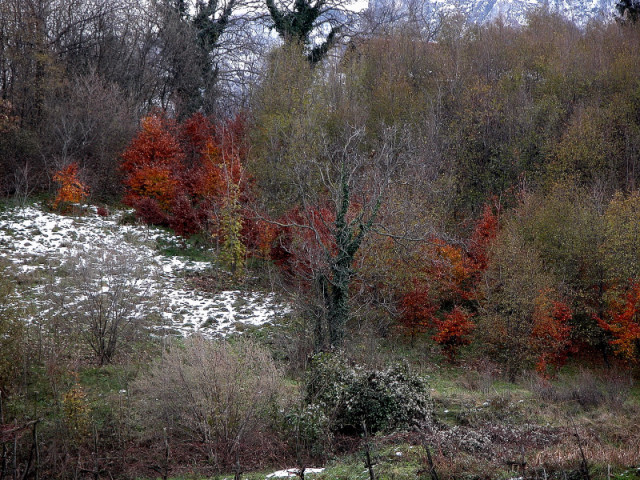 Bianco d''autunno