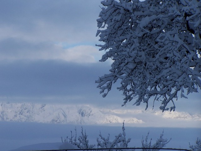 Bianco d''autunno