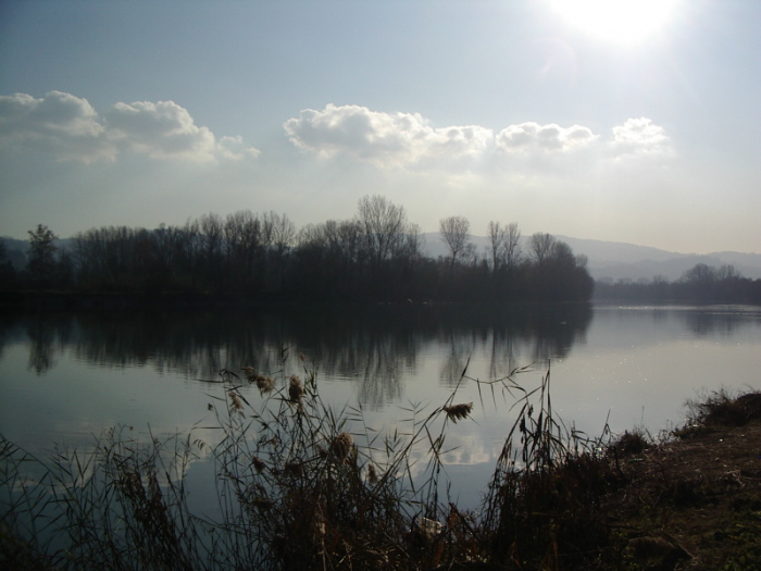 storia di un salvataggio di un piccolo gabbiano