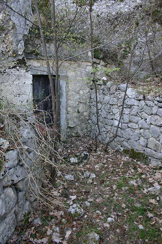 qualche animaletto dalle grotte
