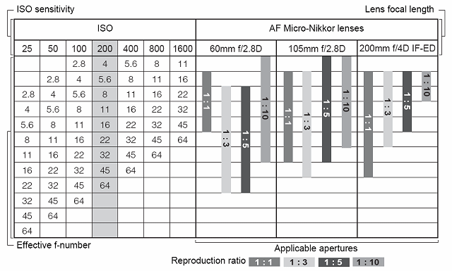 Primi scatti con il NIKON  Kit flash SB-R1C1 SBR1C1