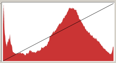 Primi scatti con il NIKON  Kit flash SB-R1C1 SBR1C1