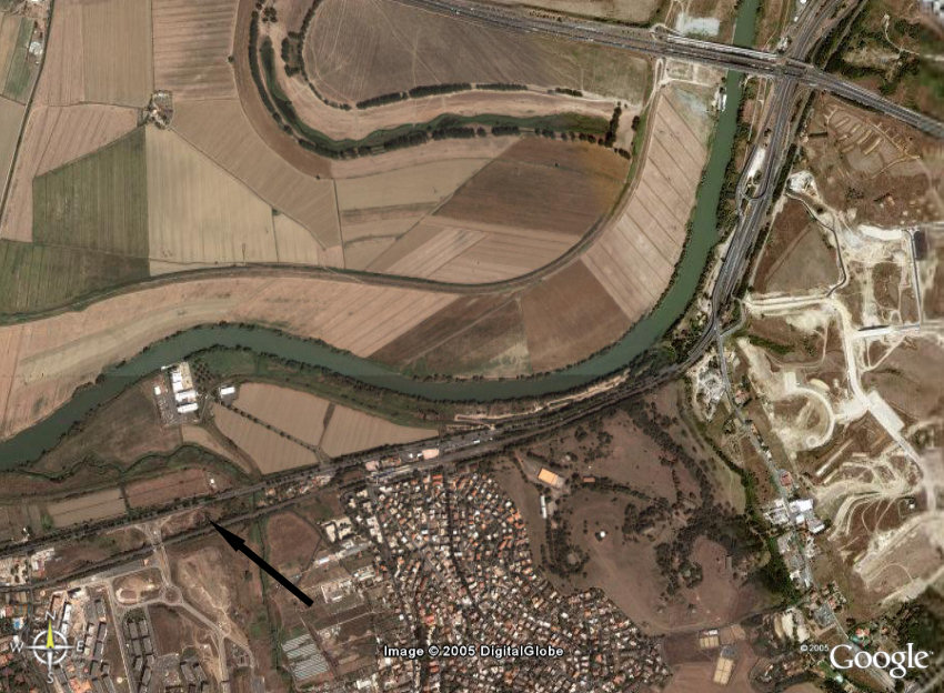 Tracce di... nutria?
