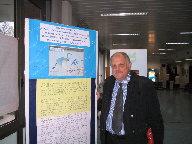 Invito alla mostra 