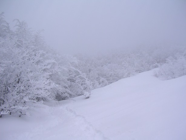 Bianco d''autunno
