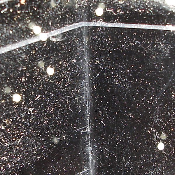 Chrysodeixis chalcites