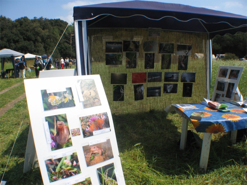 FESTA DELLE OASI DEL WWF 2006