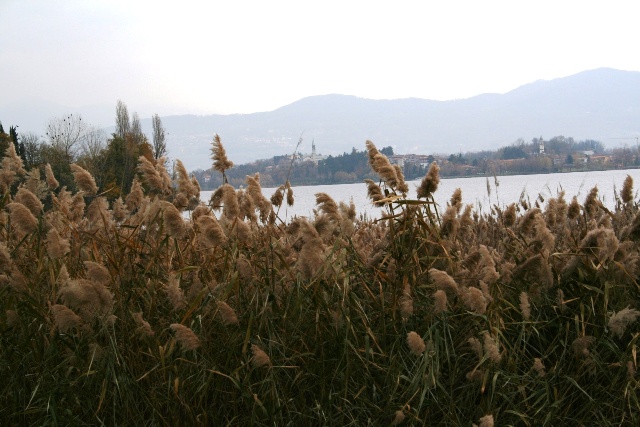 Laghi....della LOMBARDIA