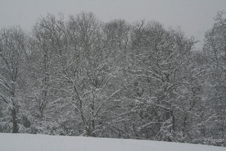 Bianco d''inverno