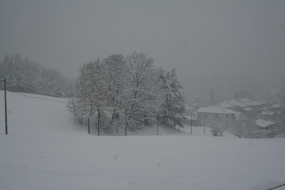 Bianco d''inverno