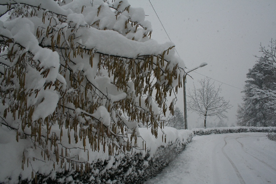 Bianco d''inverno