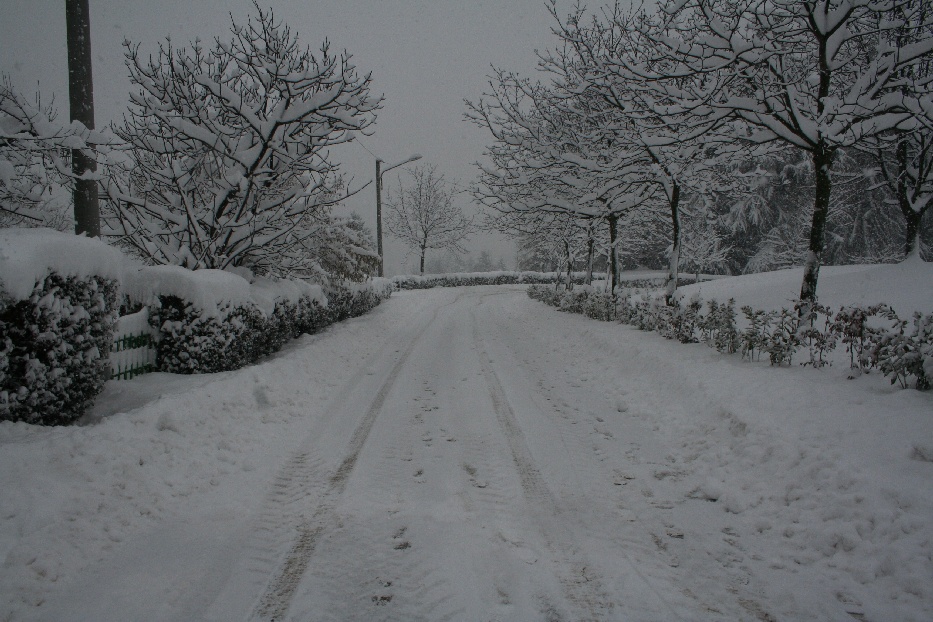 Bianco d''inverno