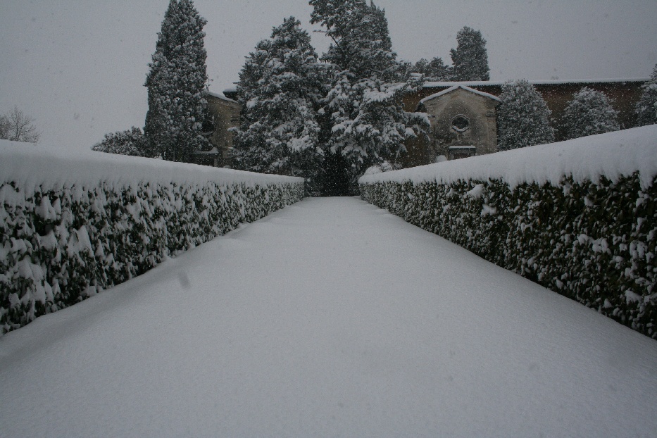 Bianco d''inverno