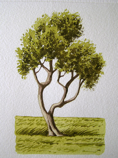 corso di disegno naturalistico 7 lezione