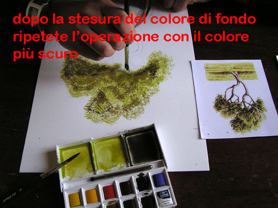 corso di disegno naturalistico 7 lezione