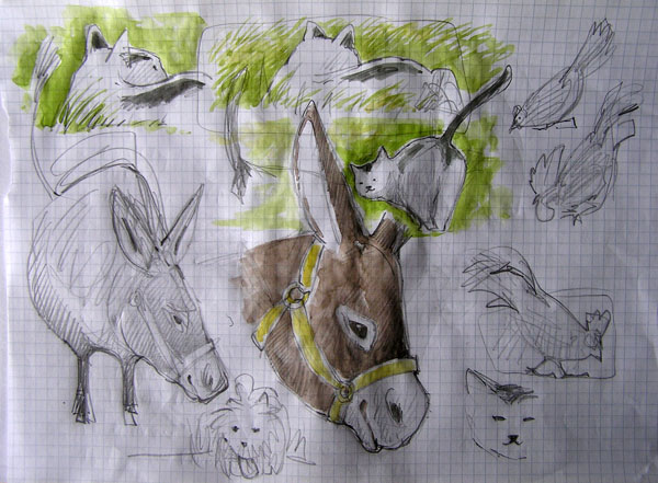 corso di disegno naturalistico 11 lezione