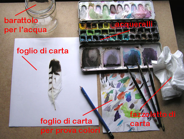 Disegno naturalistico 2Lezione