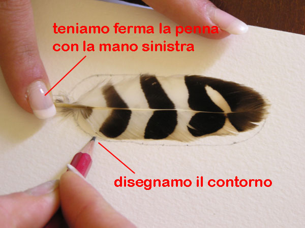 Disegno naturalistico 2Lezione