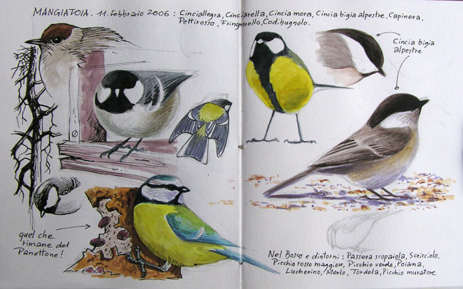 Disegni di uccelli in mangiatoia