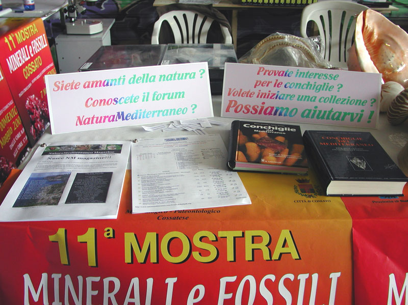 11 Mostra Minerali e Fossili Cossato