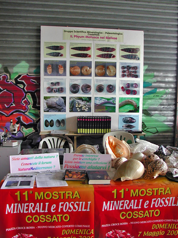 11 Mostra Minerali e Fossili Cossato