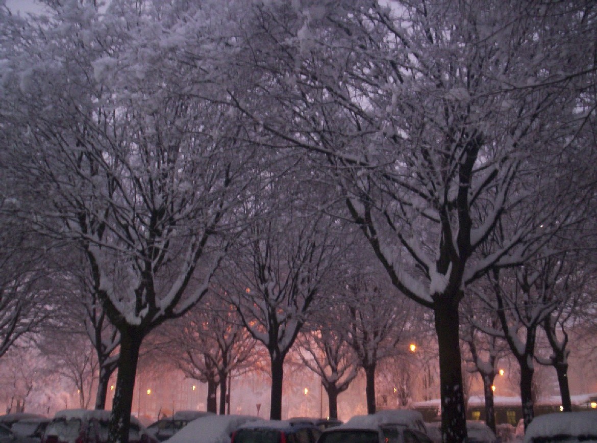 Bianco d''inverno