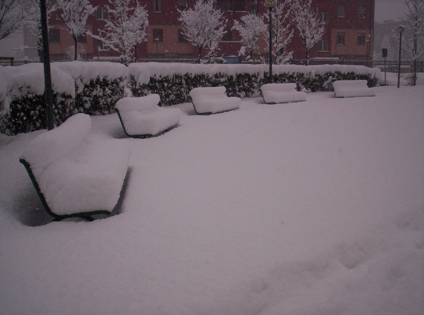 Bianco d''inverno