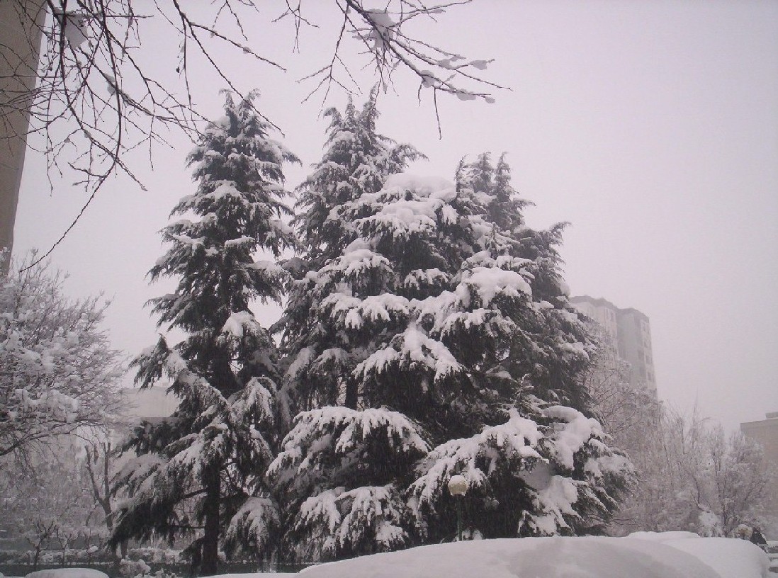Bianco d''inverno