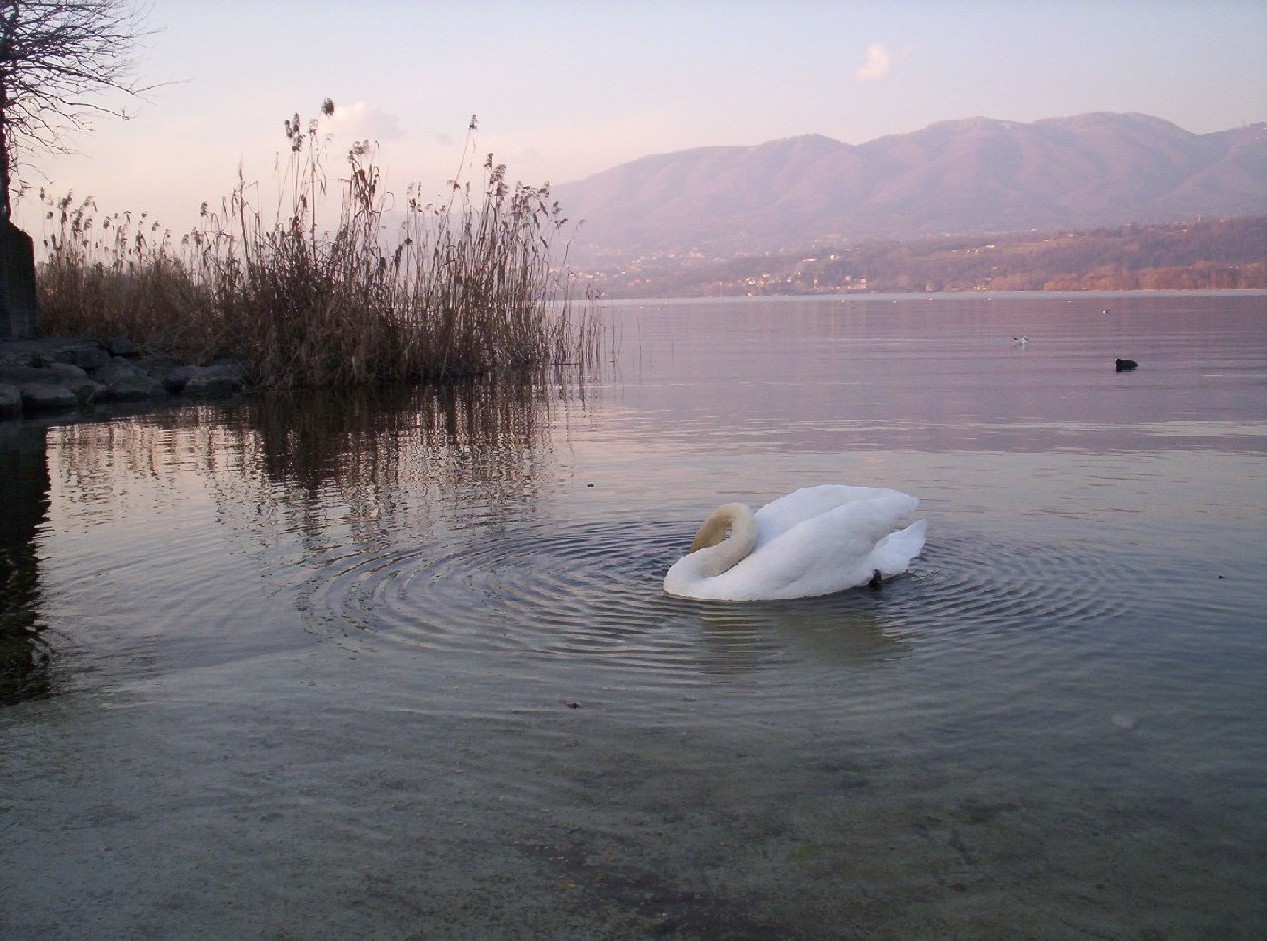 Laghi....della LOMBARDIA