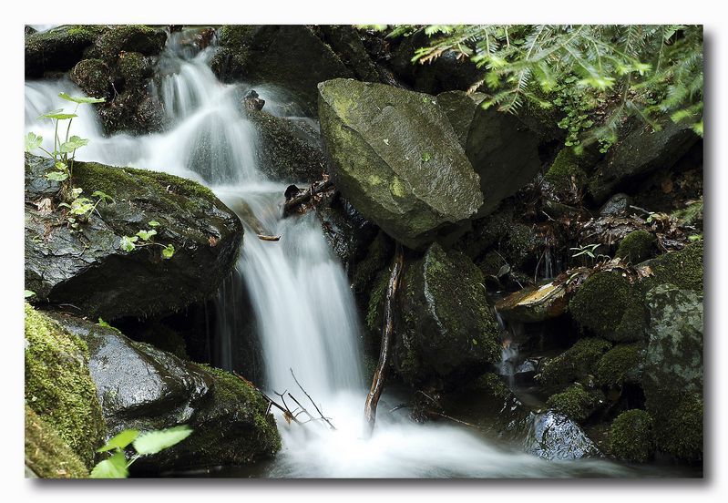 Il movimento dell''acqua