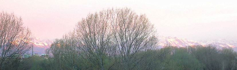 alba chiara