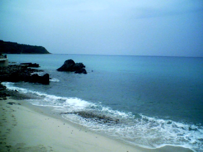 Un istrice in vacanza