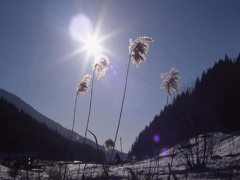 Controluce...